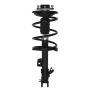 PRT PERFORMANCE RIDE 819633 PRT Complete Strut Assembly