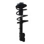 PRT PERFORMANCE RIDE 819633 PRT Complete Strut Assembly