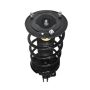 PRT PERFORMANCE RIDE 819932 PRT Complete Strut Assembly