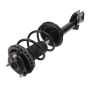 PRT PERFORMANCE RIDE 920010 PRT Complete Strut Assembly