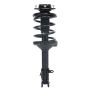 PRT PERFORMANCE RIDE 920022 PRT Complete Strut Assembly