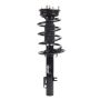 PRT PERFORMANCE RIDE 920048 PRT Complete Strut Assembly