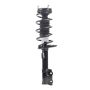 PRT PERFORMANCE RIDE 920052 PRT Complete Strut Assembly