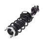PRT PERFORMANCE RIDE 920053 PRT Complete Strut Assembly