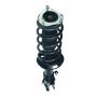 PRT PERFORMANCE RIDE 920054 PRT Complete Strut Assembly
