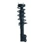 PRT PERFORMANCE RIDE 920054 PRT Complete Strut Assembly