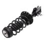 PRT PERFORMANCE RIDE 920061 PRT Complete Strut Assembly