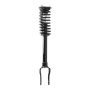 PRT PERFORMANCE RIDE 920101 PRT Complete Strut Assembly