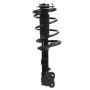 PRT PERFORMANCE RIDE 920138 PRT Complete Strut Assembly
