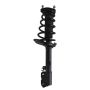 PRT PERFORMANCE RIDE 920151 PRT Complete Strut Assembly