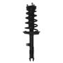 PRT PERFORMANCE RIDE 920152 PRT Complete Strut Assembly