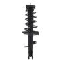 PRT PERFORMANCE RIDE 920153 PRT Complete Strut Assembly
