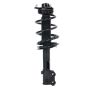 PRT PERFORMANCE RIDE 920167 PRT Complete Strut Assembly