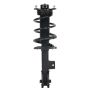 PRT PERFORMANCE RIDE 920168 PRT Complete Strut Assembly