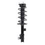 PRT PERFORMANCE RIDE 920177 PRT Complete Strut Assembly