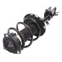 PRT PERFORMANCE RIDE 920181 PRT Complete Strut Assembly