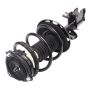 PRT PERFORMANCE RIDE 920182 PRT Complete Strut Assembly