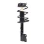 PRT PERFORMANCE RIDE 920182 PRT Complete Strut Assembly