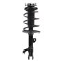 PRT PERFORMANCE RIDE 920183 PRT Complete Strut Assembly
