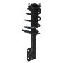 PRT PERFORMANCE RIDE 920186 PRT Complete Strut Assembly