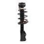 PRT PERFORMANCE RIDE 920198 PRT Complete Strut Assembly
