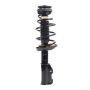 PRT PERFORMANCE RIDE 920200 PRT Complete Strut Assembly