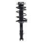 PRT PERFORMANCE RIDE 920206 PRT Complete Strut Assembly