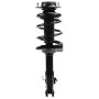 PRT PERFORMANCE RIDE 920207 PRT Complete Strut Assembly