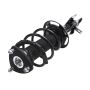 PRT PERFORMANCE RIDE 920211 PRT Complete Strut Assembly