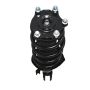 PRT PERFORMANCE RIDE 920213 PRT Complete Strut Assembly