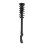PRT PERFORMANCE RIDE 920243 PRT Complete Strut Assembly