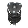 PRT PERFORMANCE RIDE 920279 PRT Complete Strut Assembly