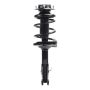 PRT PERFORMANCE RIDE 920302 PRT Complete Strut Assembly