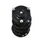 PRT PERFORMANCE RIDE 920325 PRT Complete Strut Assembly
