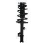 PRT PERFORMANCE RIDE 920325 PRT Complete Strut Assembly