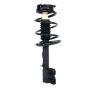 PRT PERFORMANCE RIDE 920331 PRT Complete Strut Assembly
