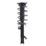 PRT PERFORMANCE RIDE 920348 PRT Complete Strut Assembly