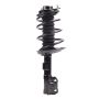 PRT PERFORMANCE RIDE 920371 PRT Complete Strut Assembly