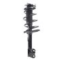 PRT PERFORMANCE RIDE 920405 PRT Complete Strut Assembly