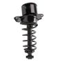PRT PERFORMANCE RIDE 920417 PRT Complete Strut Assembly