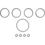 Victor Reinz 11-10513-01 Engine Intake Manifold Gasket Set