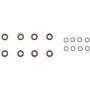 Victor Reinz 12-10022-01 Engine Valve Stem Oil Seal Set