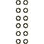 Victor Reinz 12-21291-01 Engine Valve Stem Oil Seal Set