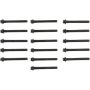 Victor Reinz 14-10102-01 Engine Cylinder Head Bolt Set