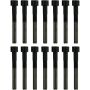 Victor Reinz 14-10112-01 Engine Cylinder Head Bolt Set