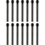Victor Reinz 14-32312-01 Engine Cylinder Head Bolt Set