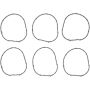 Victor Reinz 15-10300-01 Fuel Injection Plenum Gasket Set