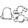 Victor Reinz 18-10043-01 Engine Water Pump Installation Kit