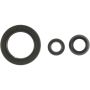 Victor Reinz 18-10123-01 Engine Crankshaft Seal Kit