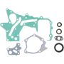 Victor Reinz 18-10140-01 Engine Crankshaft Seal Kit